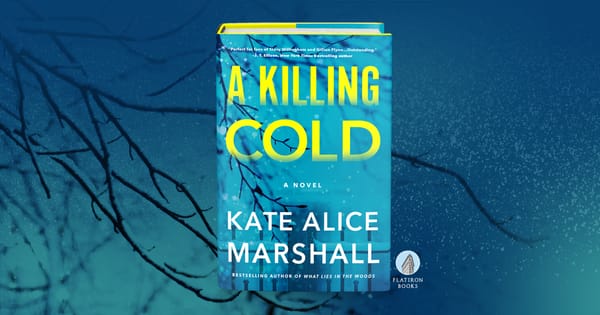 A Killing Cold Review